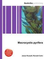 Macrocystis pyrifera