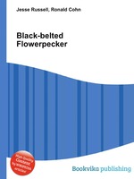 Black-belted Flowerpecker