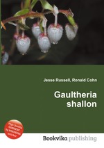 Gaultheria shallon