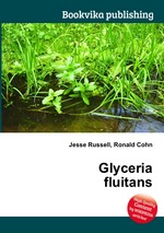 Glyceria fluitans