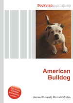 American Bulldog