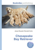 Chesapeake Bay Retriever