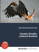 Greater Double-collared Sunbird