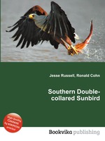 Southern Double-collared Sunbird