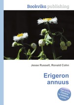 Erigeron annuus