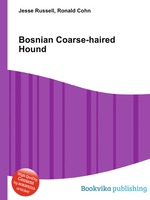 Bosnian Coarse-haired Hound