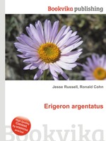 Erigeron argentatus