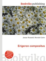 Erigeron compositus