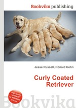 Curly Coated Retriever