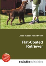 Flat-Coated Retriever