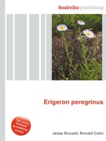 Erigeron peregrinus