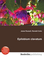 Epilobium clavatum