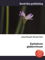 Epilobium glaberrimum