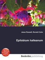 Epilobium halleanum