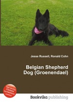 Belgian Shepherd Dog (Groenendael)