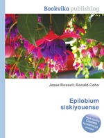 Epilobium siskiyouense