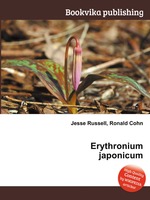 Erythronium japonicum