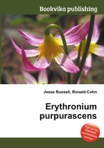 Erythronium purpurascens