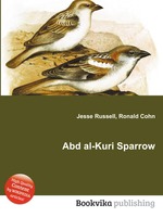 Abd al-Kuri Sparrow