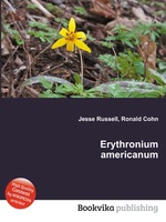 Erythronium americanum