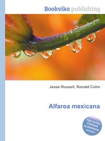 Alfaroa mexicana