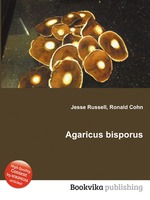 Agaricus bisporus