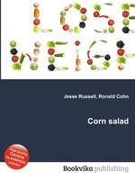 Corn salad