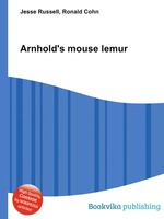 Arnhold`s mouse lemur