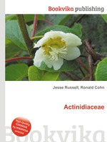 Actinidiaceae