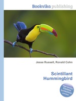 Scintillant Hummingbird