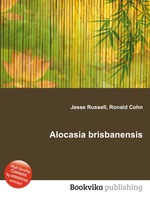 Alocasia brisbanensis