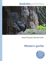 Western gorilla