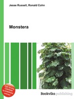 Monstera