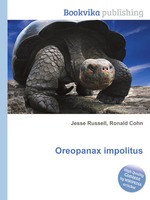 Oreopanax impolitus