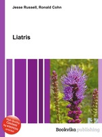 Liatris