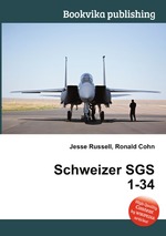 Schweizer SGS 1-34
