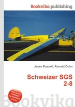 Schweizer SGS 2-8