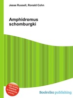 Amphidromus schomburgki