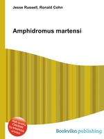 Amphidromus martensi