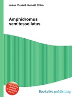 Amphidromus semitessellatus