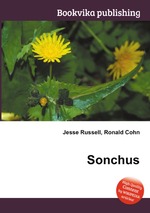 Sonchus