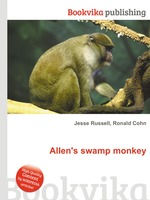 Allen`s swamp monkey