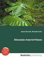 Alocasia macrorrhizos