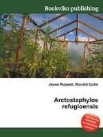 Arctostaphylos refugioensis