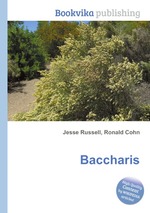 Baccharis