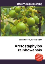 Arctostaphylos rainbowensis