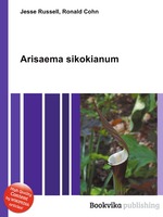 Arisaema sikokianum