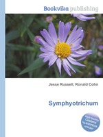 Symphyotrichum