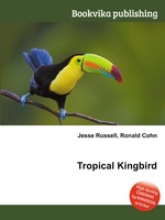 Tropical Kingbird