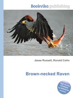 Brown-necked Raven